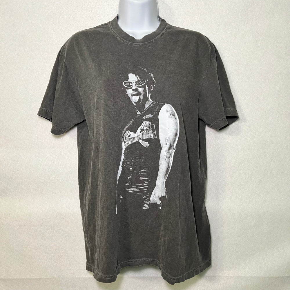 Joe Jonas 90s Indie Grunge Graphic T-Shirt Charcoal Grey Rock Tee Women's Med